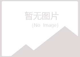 鹤岗兴山水云服务有限公司